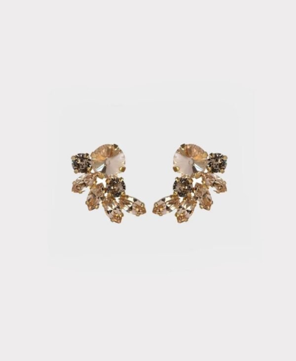 Earrings new